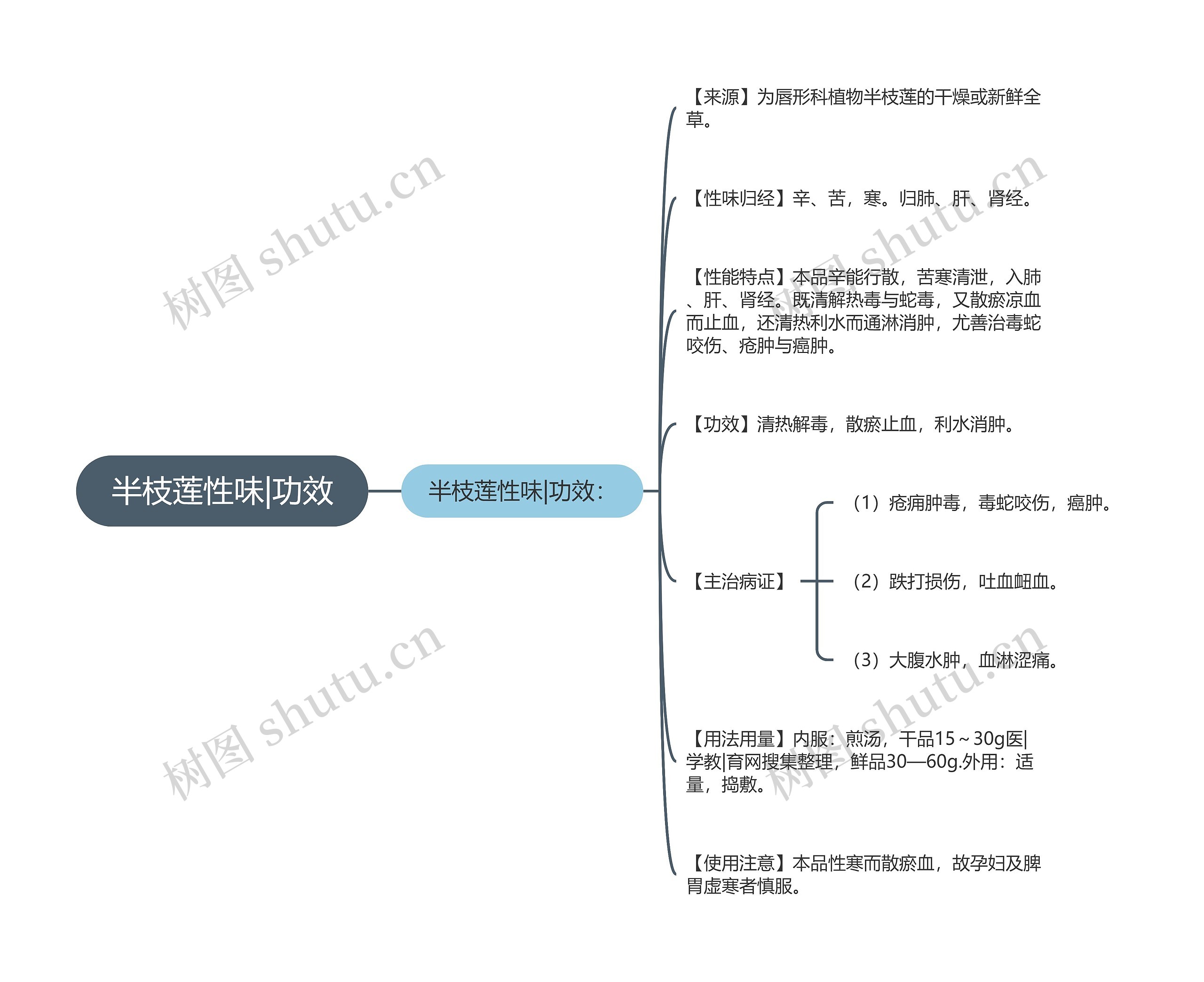 半枝莲性味|功效思维导图