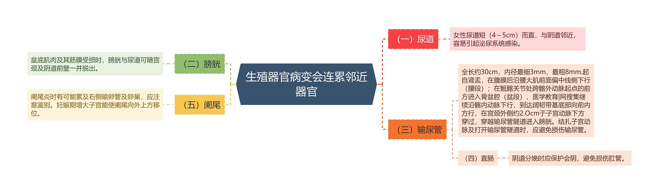 生殖器官病变会连累邻近器官