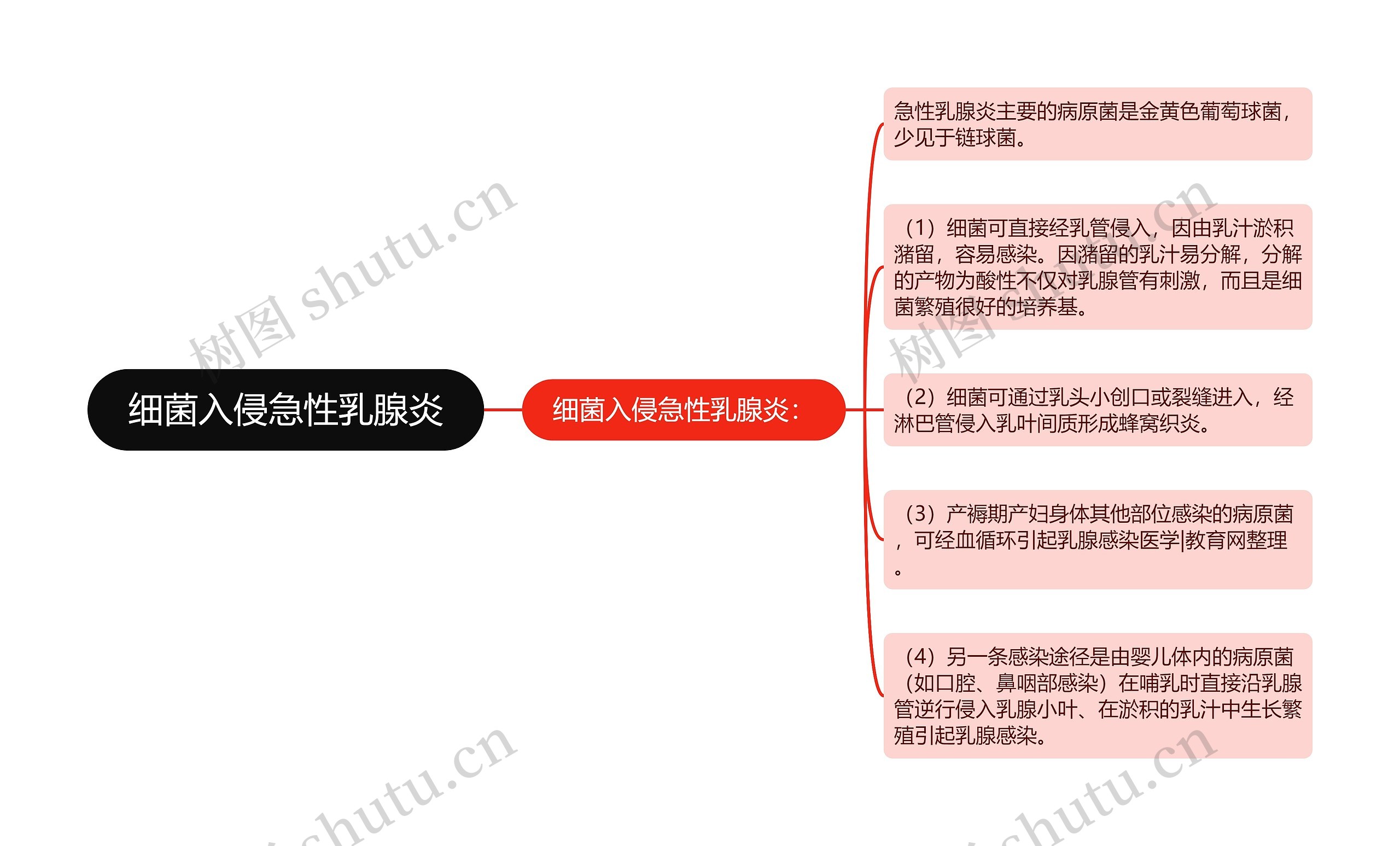 细菌入侵急性乳腺炎思维导图