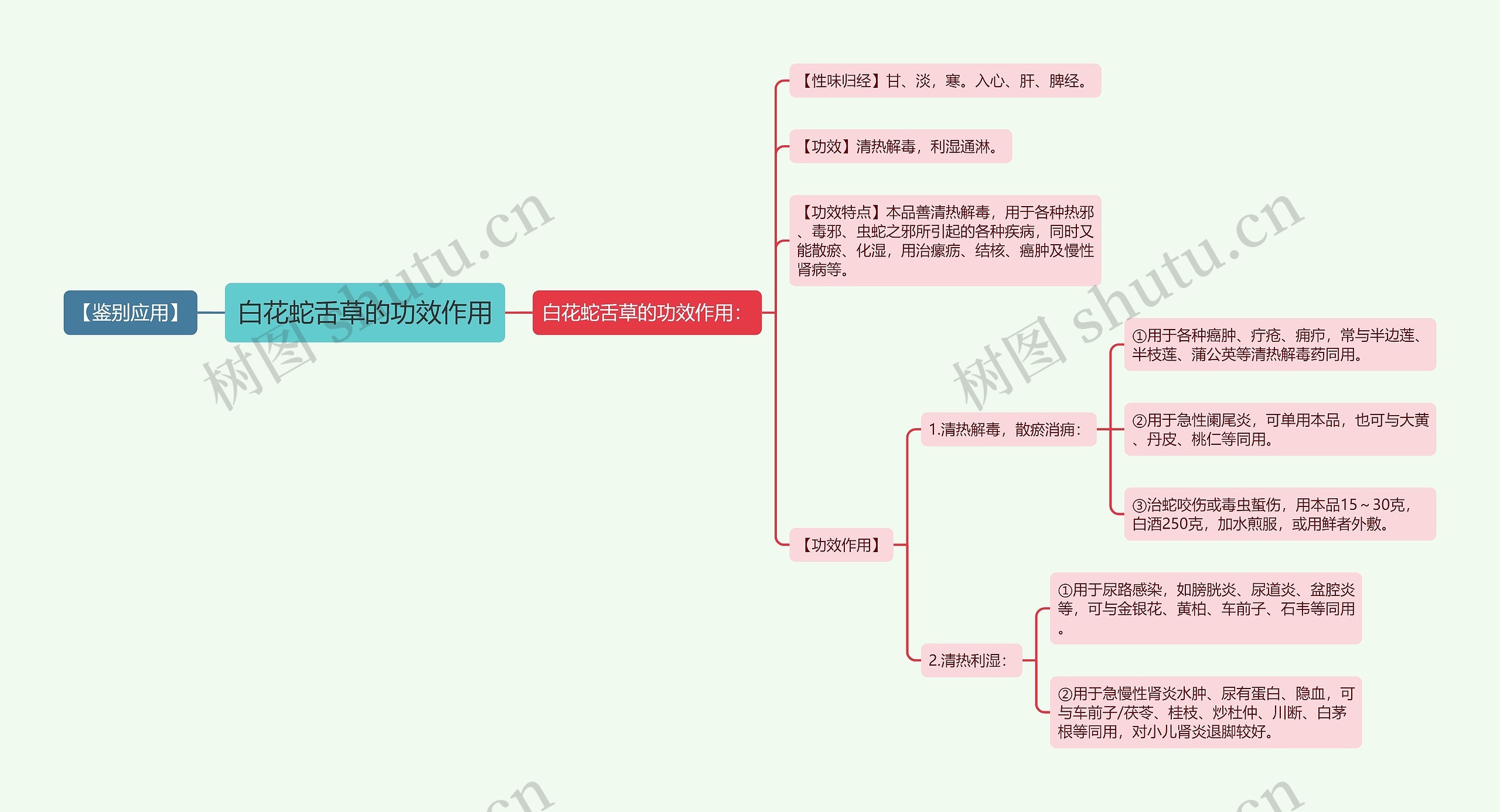 白花蛇舌草的功效作用思维导图