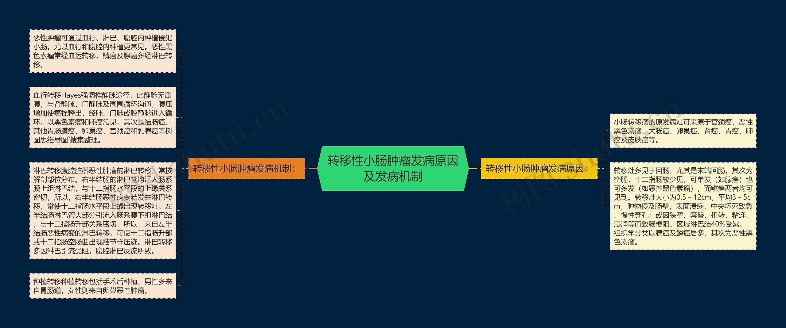 转移性小肠肿瘤发病原因及发病机制思维导图