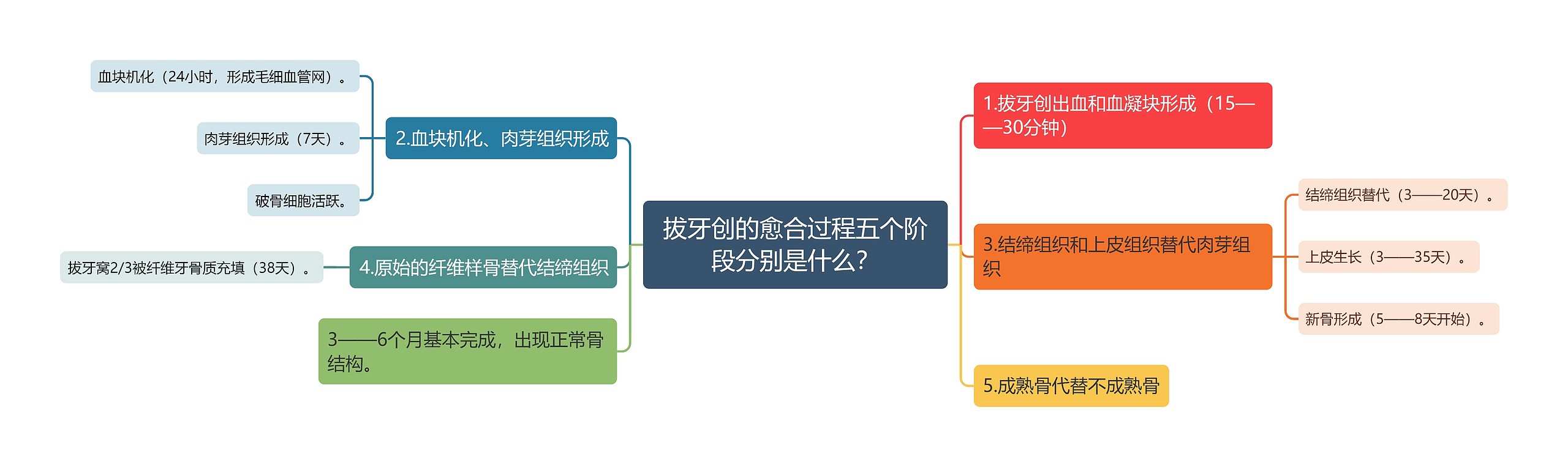 拔牙创的愈合过程五个阶段分别是什么？思维导图