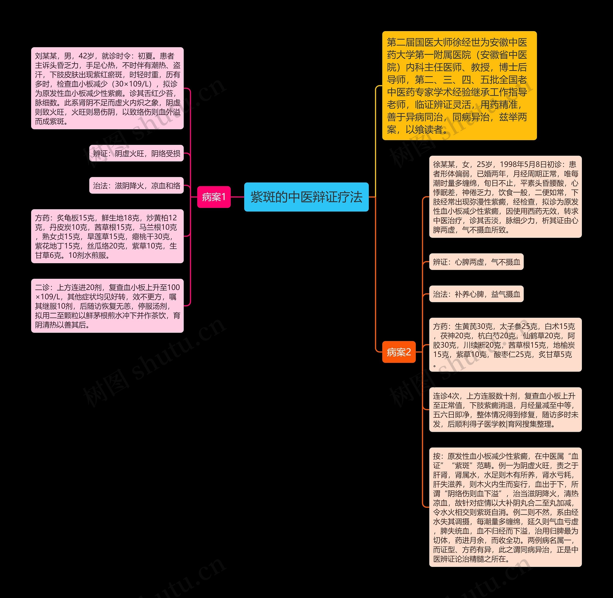 紫斑的中医辩证疗法思维导图