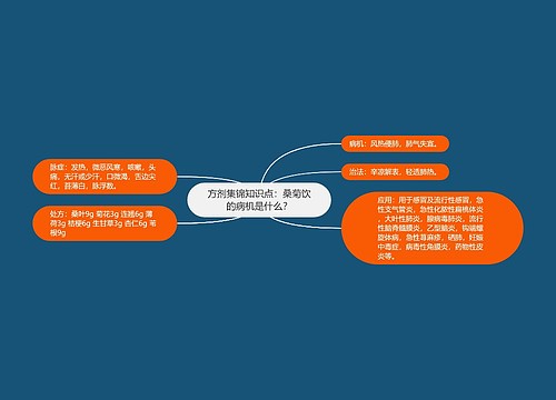 方剂集锦知识点：桑菊饮的病机是什么？