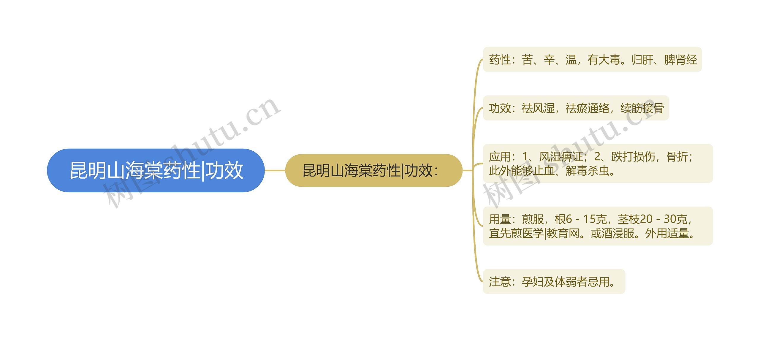 昆明山海棠药性|功效思维导图