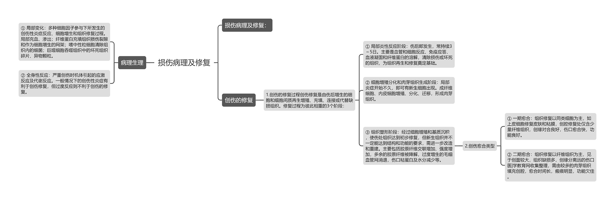 损伤病理及修复思维导图