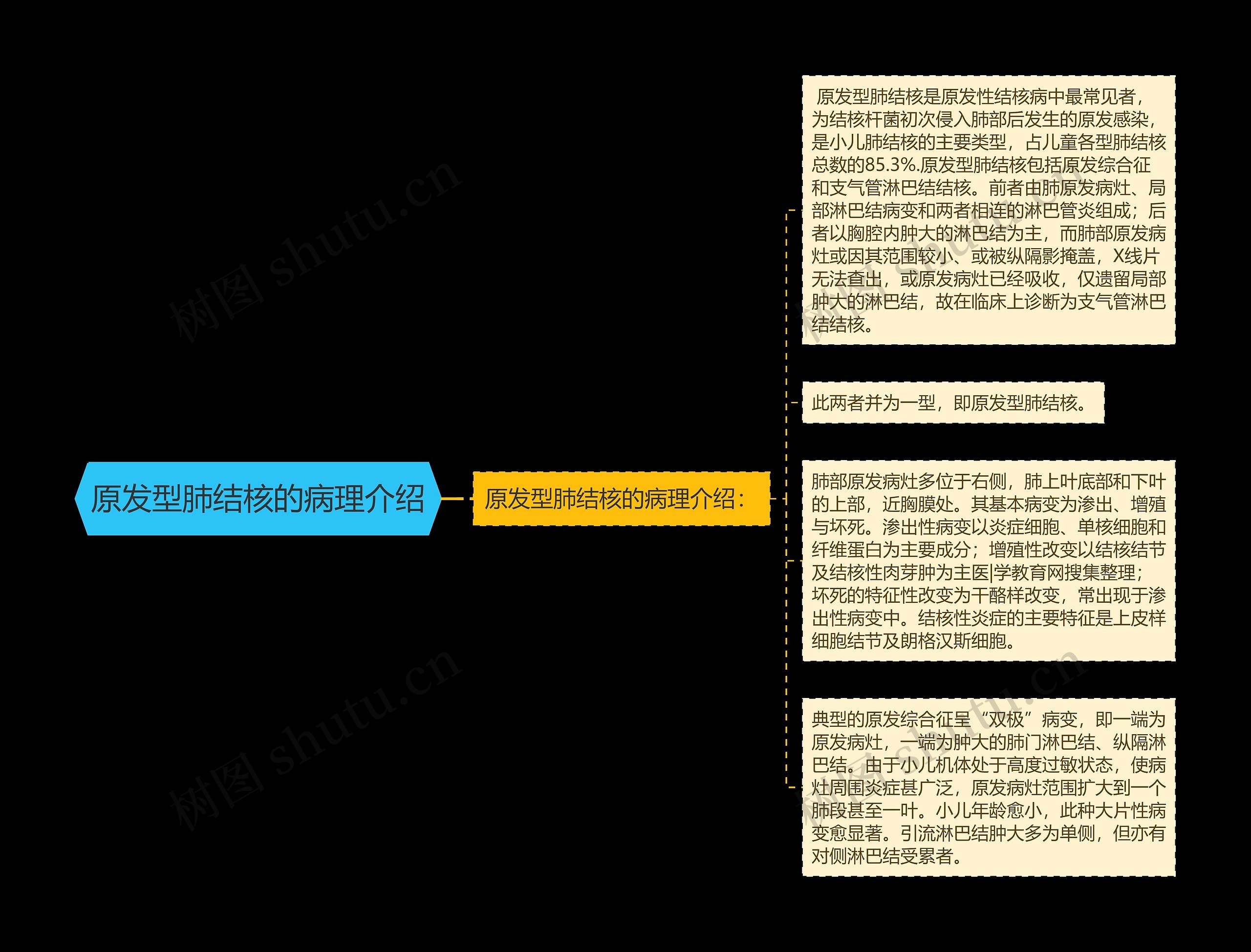 原发型肺结核的病理介绍