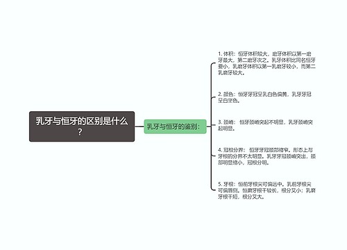 乳牙与恒牙的区别是什么？