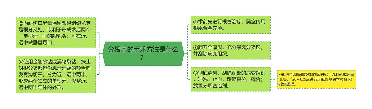 分根术的手术方法是什么？思维导图_编号p6768072-TreeMind树图