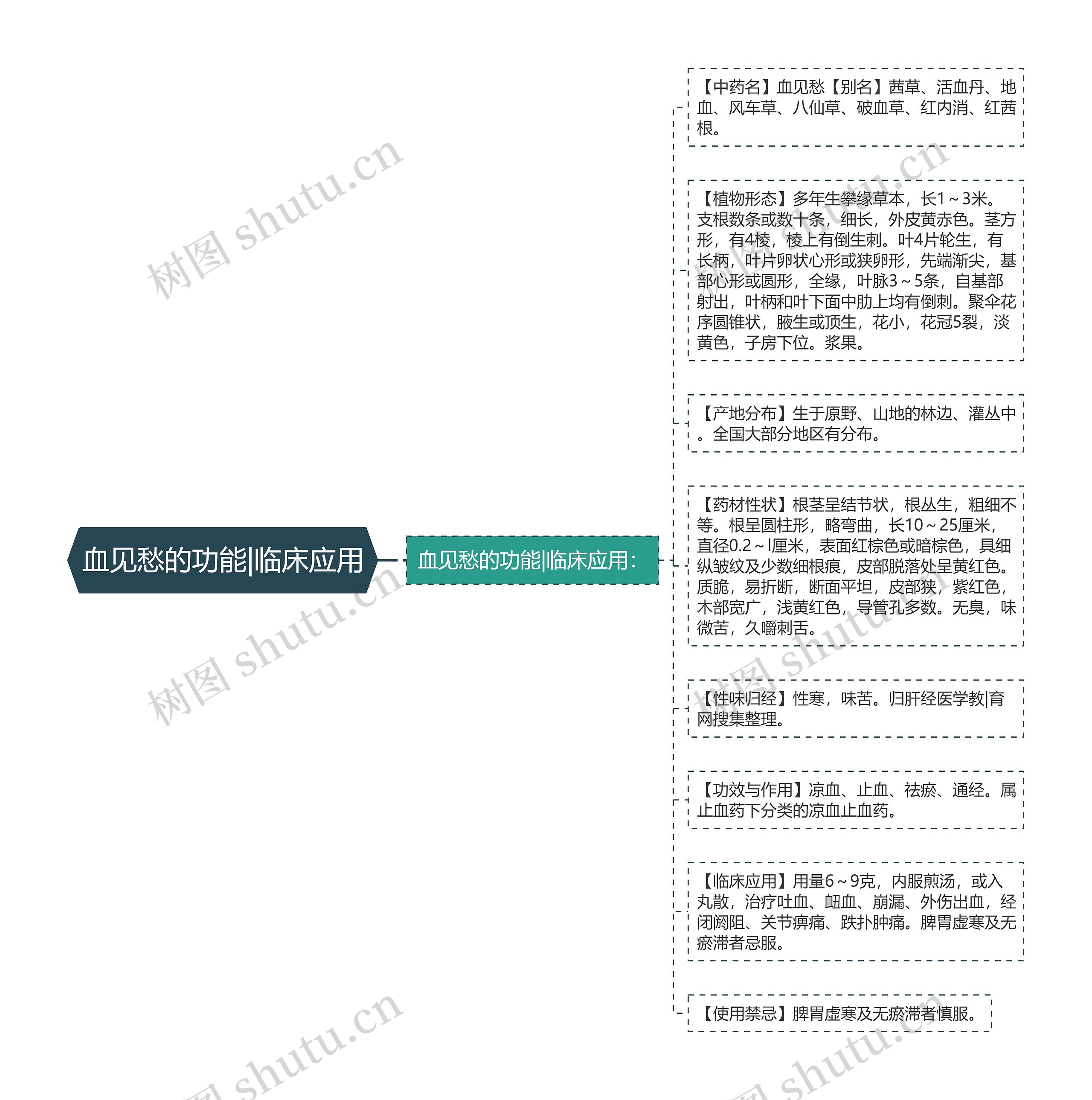 血见愁的功能|临床应用