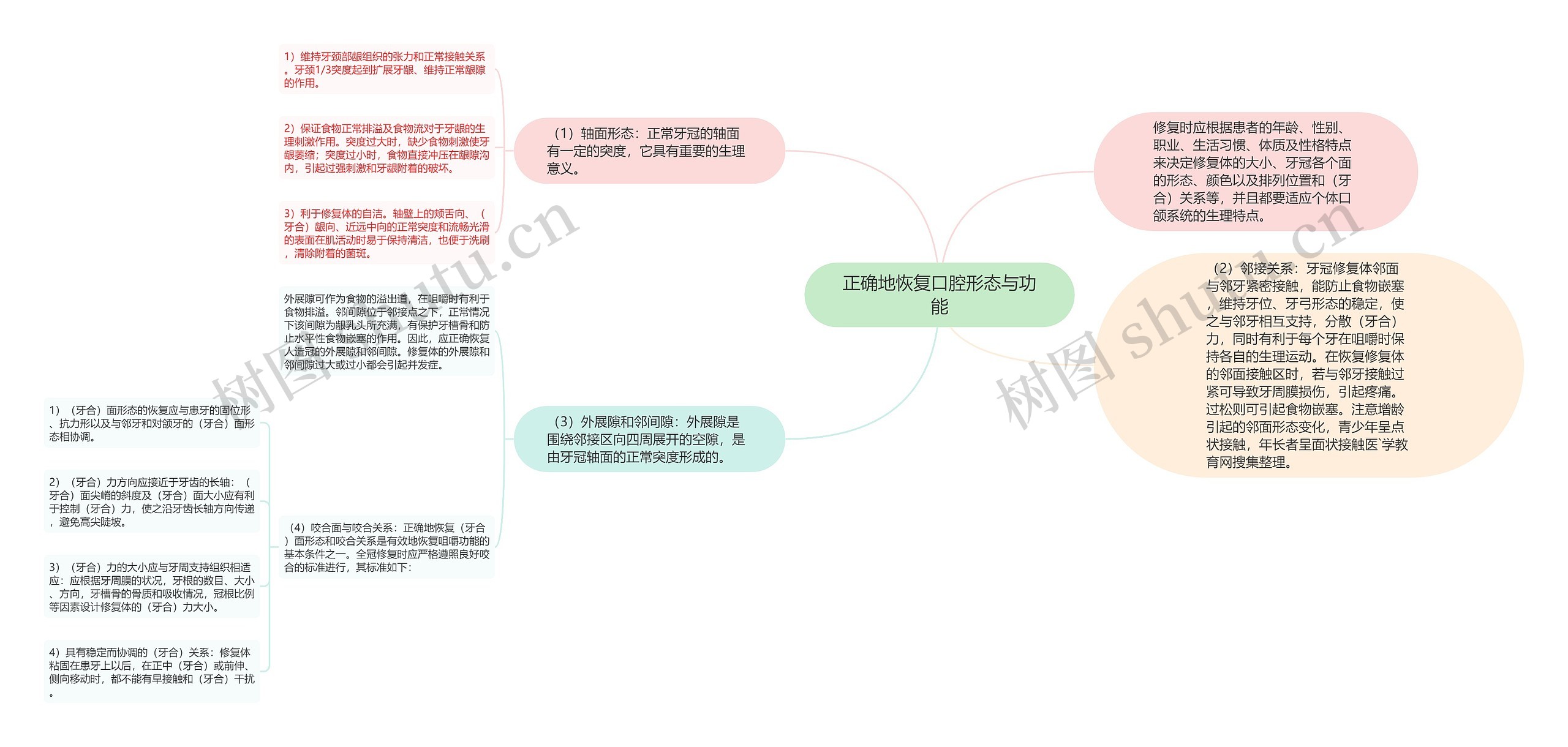 正确地恢复口腔形态与功能