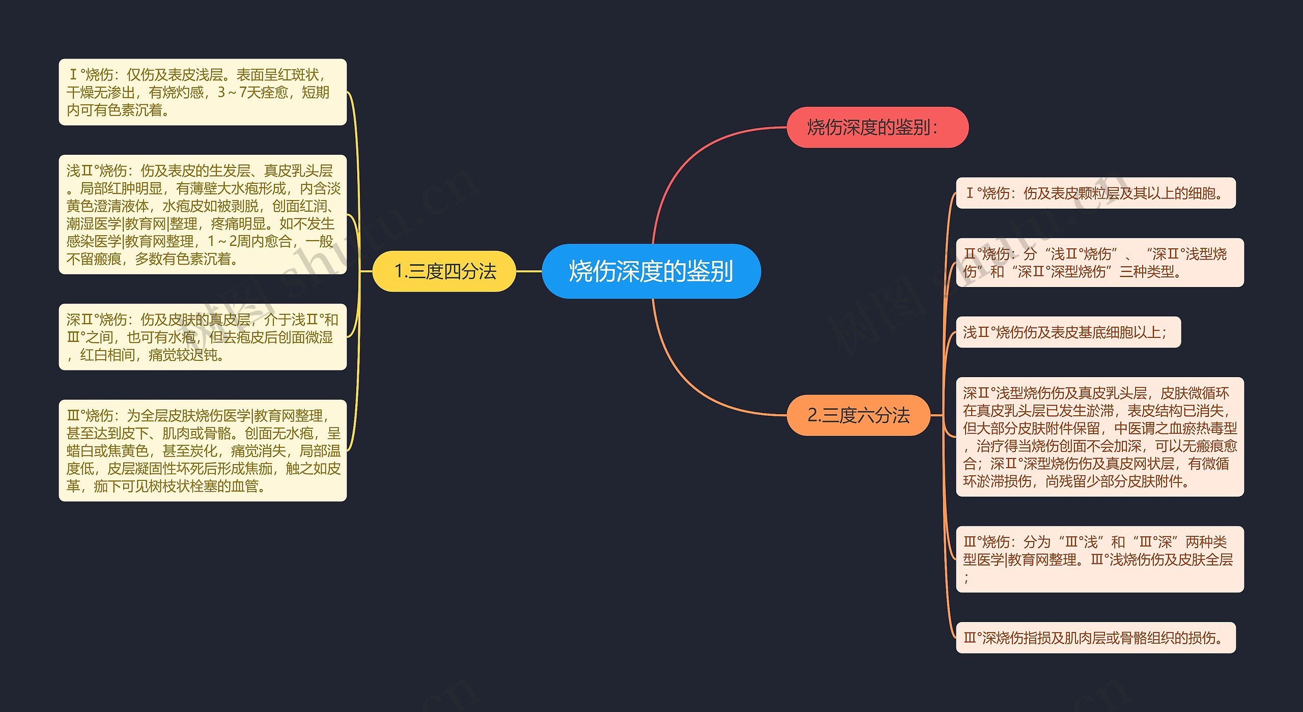 烧伤深度的鉴别思维导图