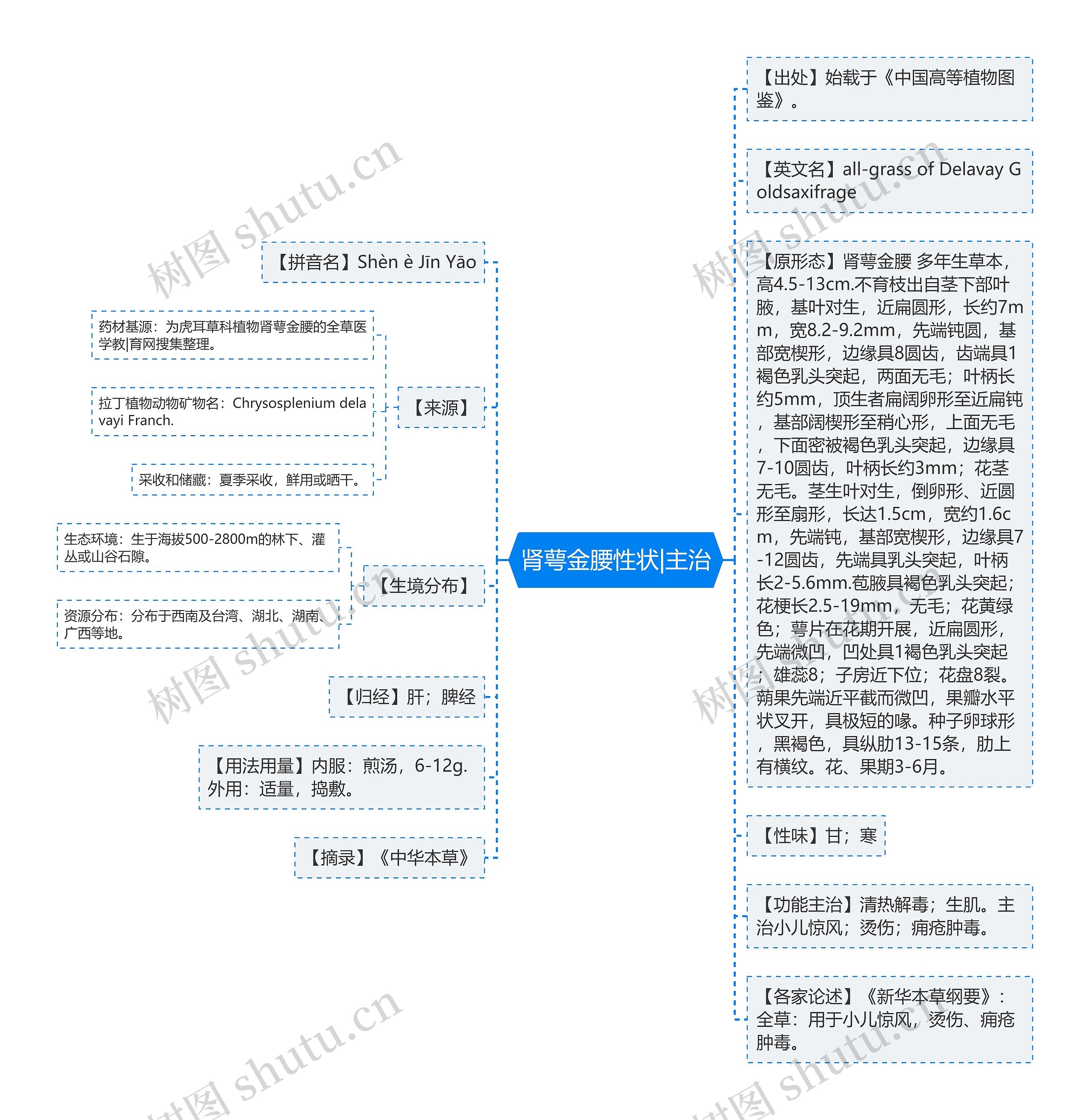 肾萼金腰性状|主治