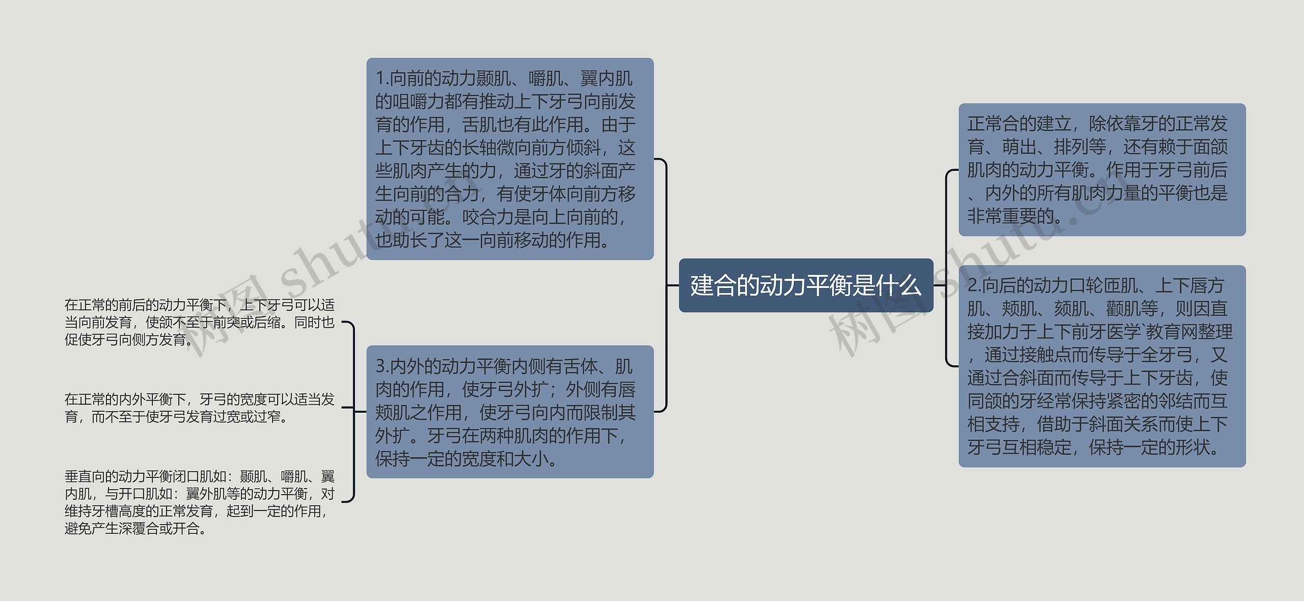 建合的动力平衡是什么思维导图