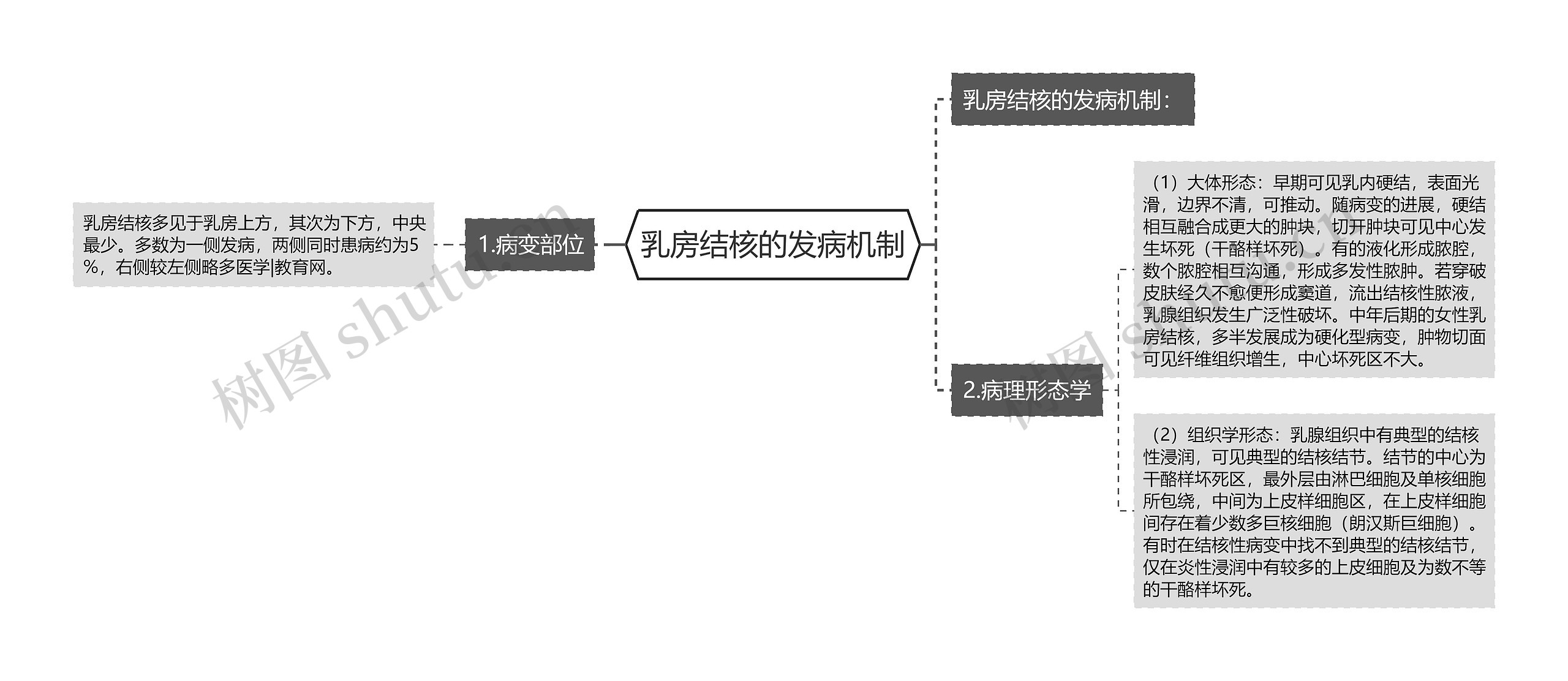 乳房结核的发病机制思维导图