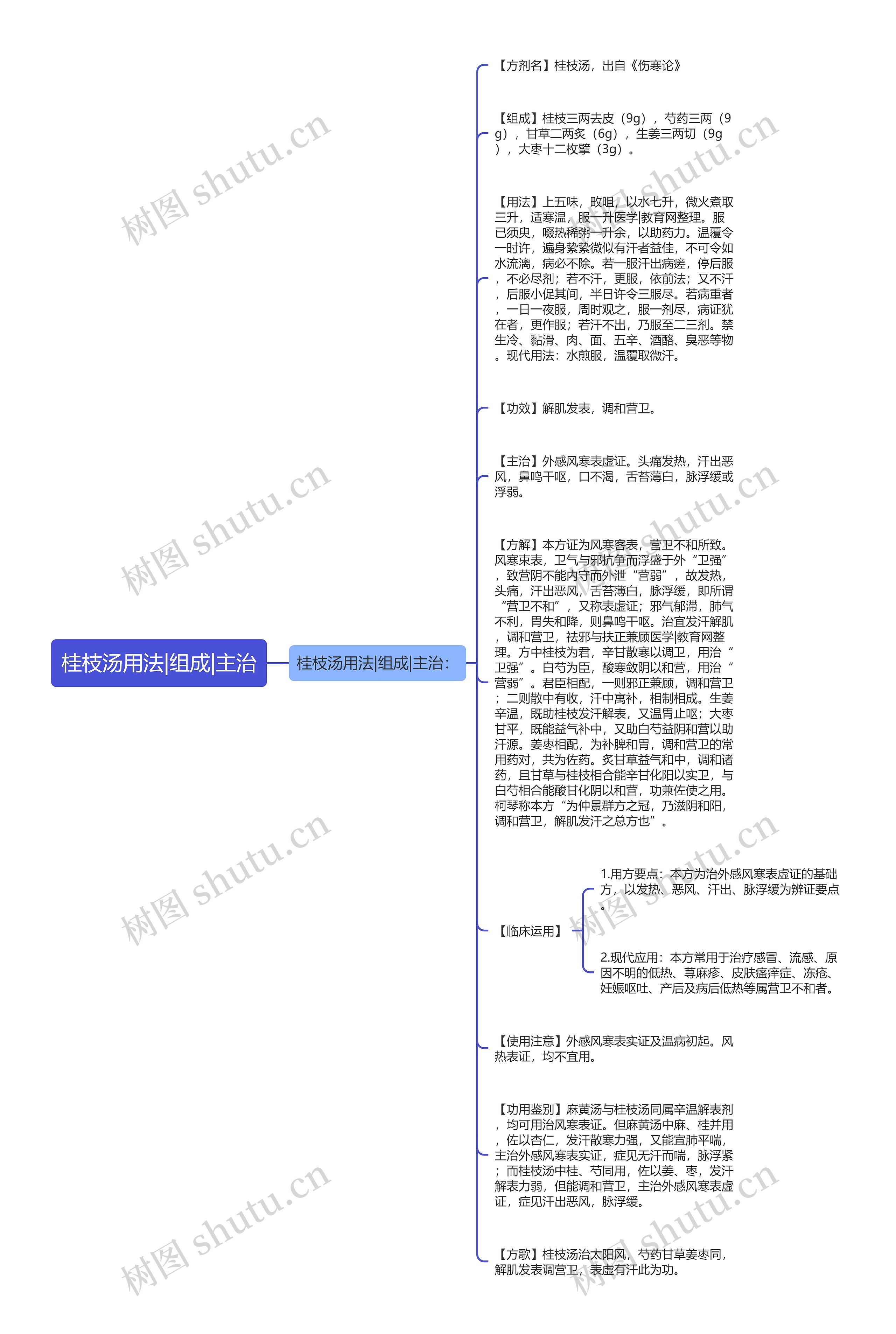 桂枝汤用法|组成|主治思维导图