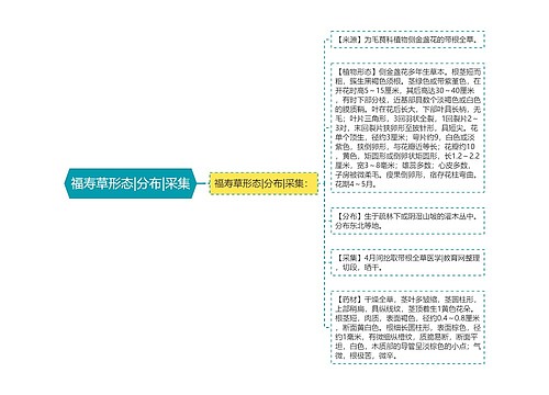 福寿草形态|分布|采集