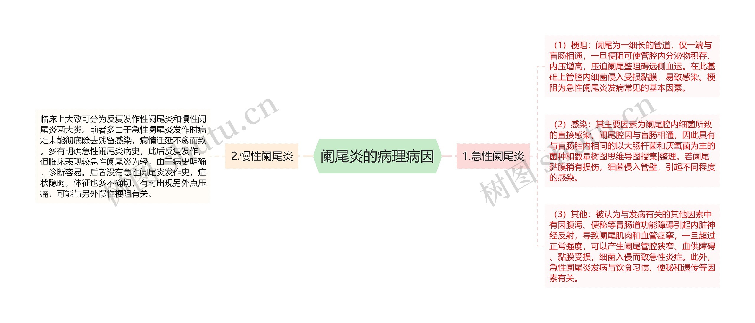 阑尾炎的病理病因 阑尾炎的病理病因