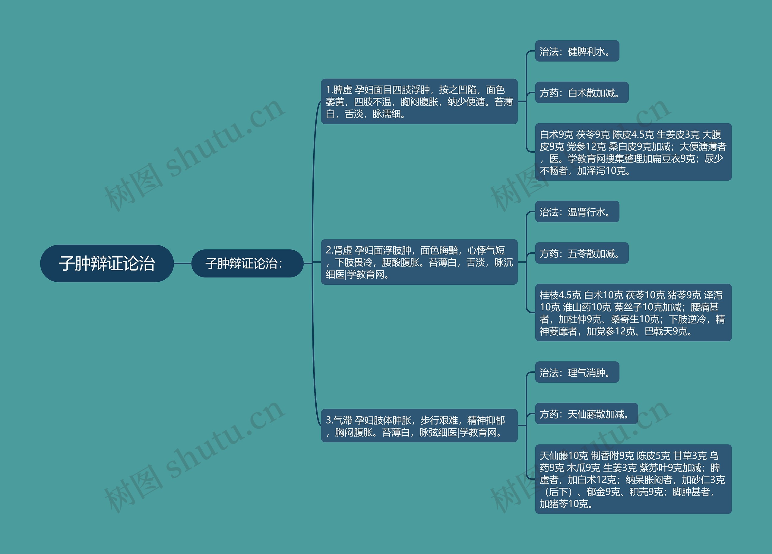 子肿辩证论治 子肿辩证论治