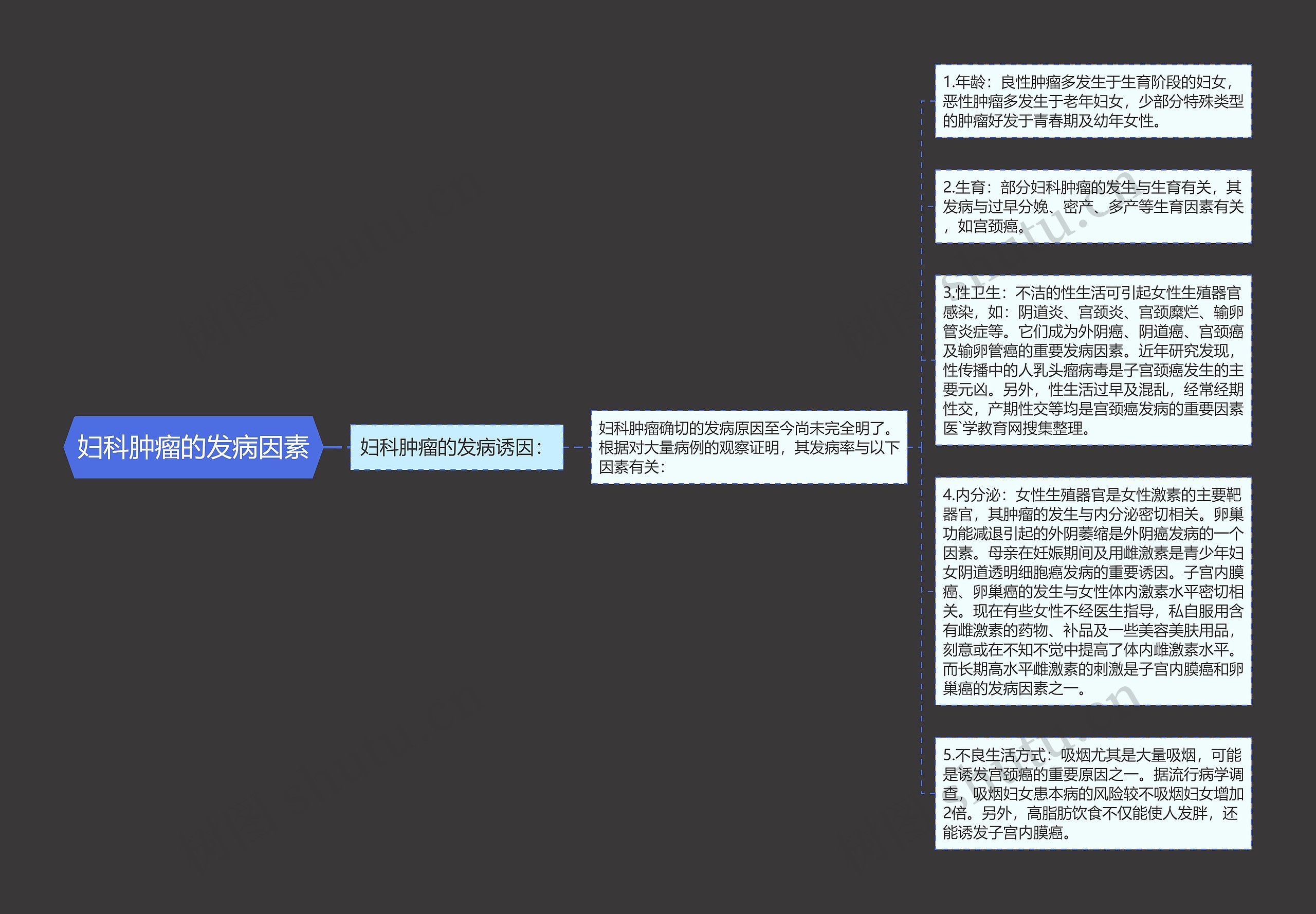 妇科肿瘤的发病因素思维导图