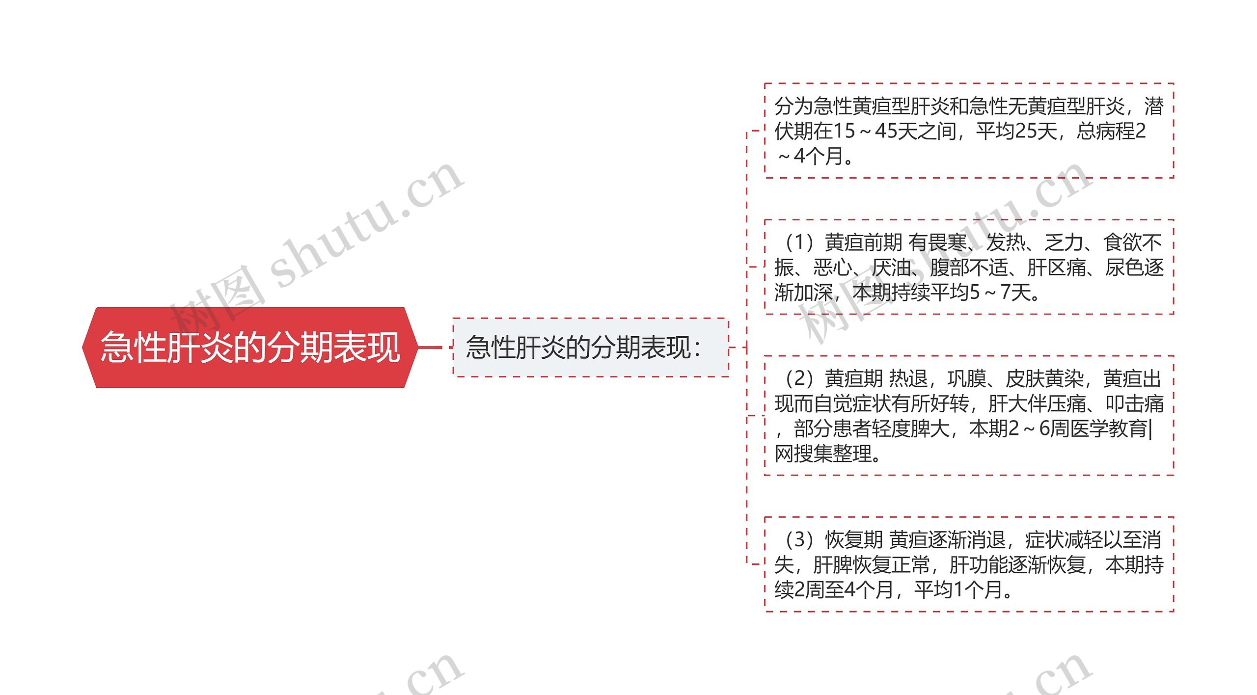 急性肝炎的分期表现 急性肝炎的分期表现
