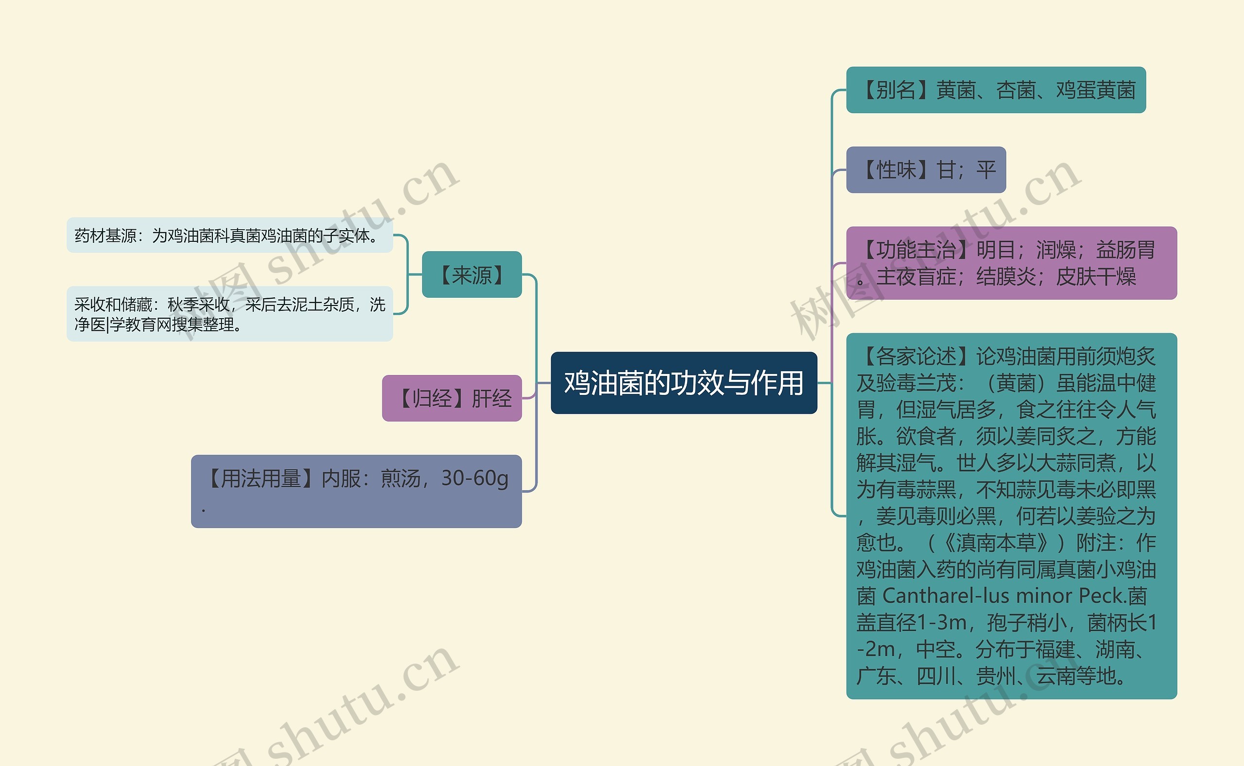 鸡油菌的功效与作用思维导图