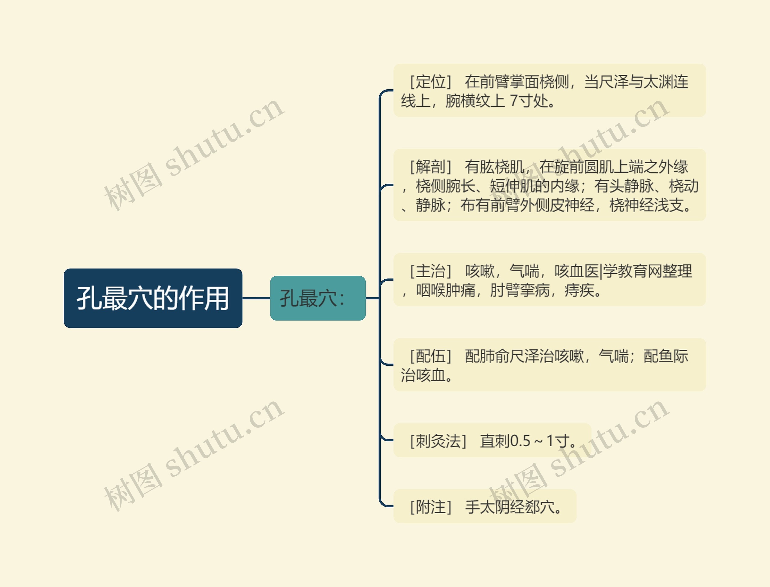 孔最穴的作用思维导图