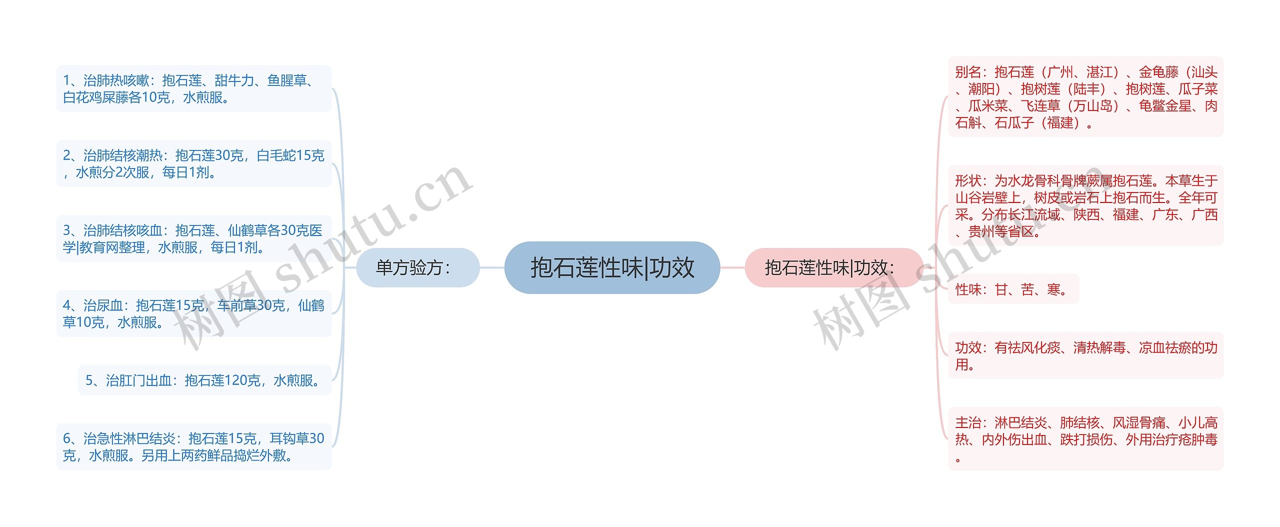 抱石莲性味|功效思维导图