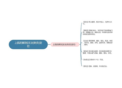上脘的解剖|主治|刺灸|定位