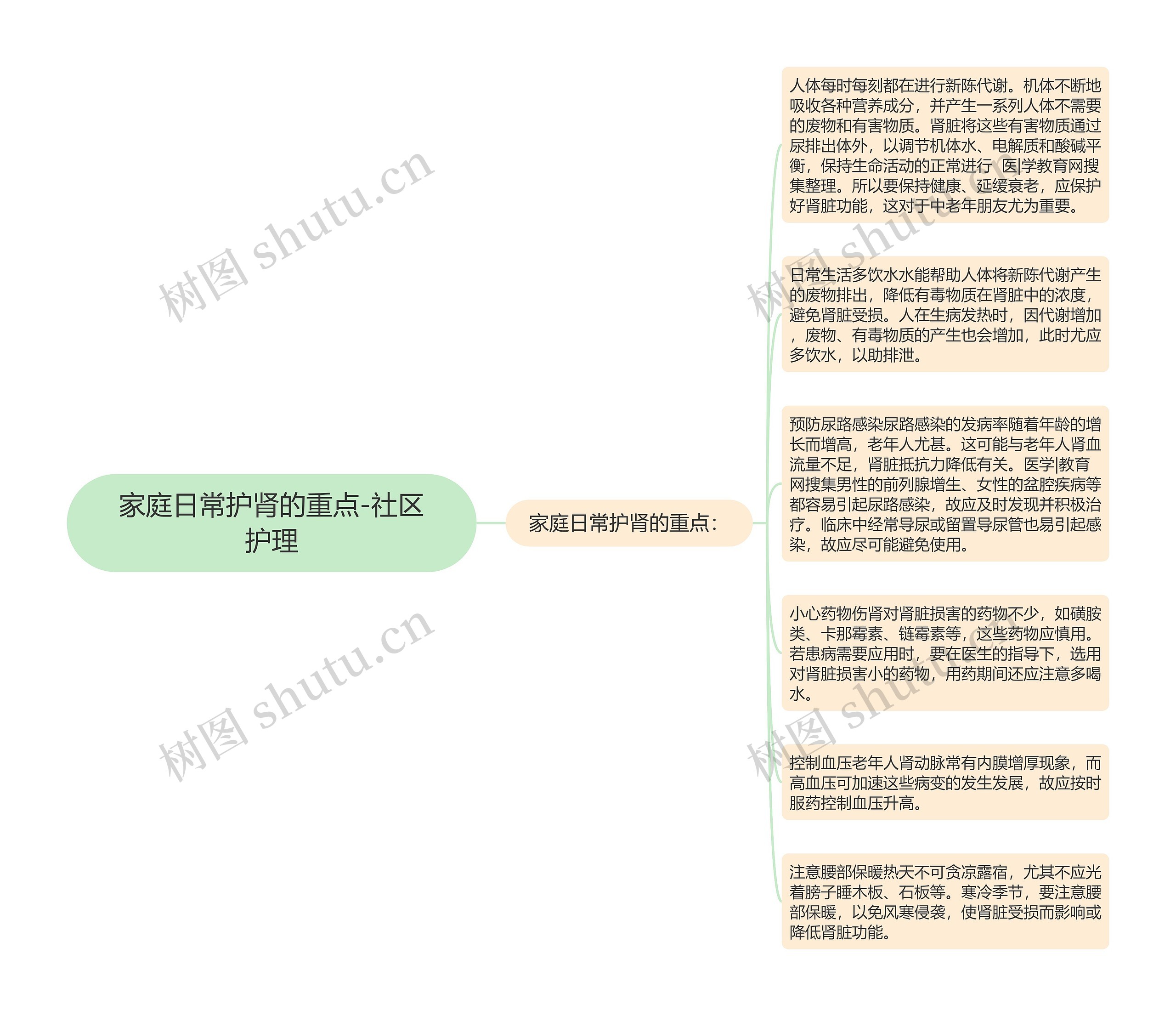 家庭日常护肾的重点-社区护理思维导图