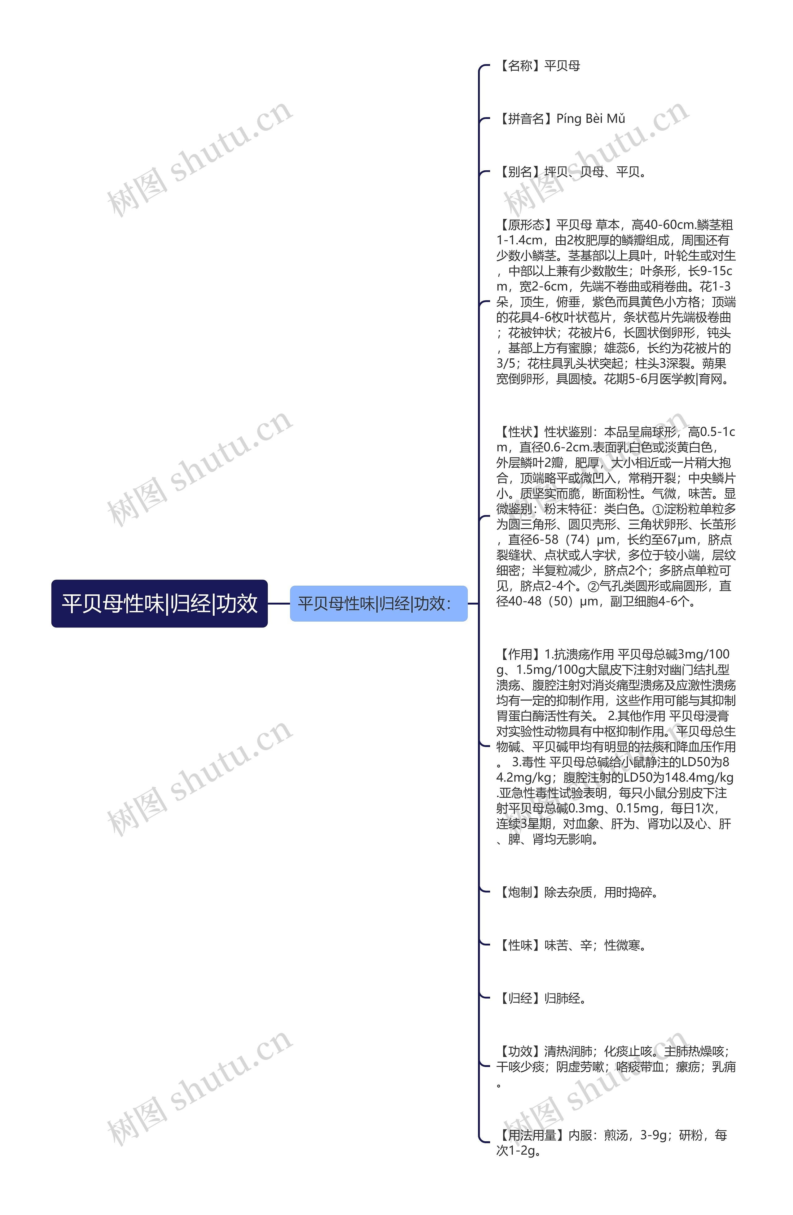 平贝母性味|归经|功效思维导图