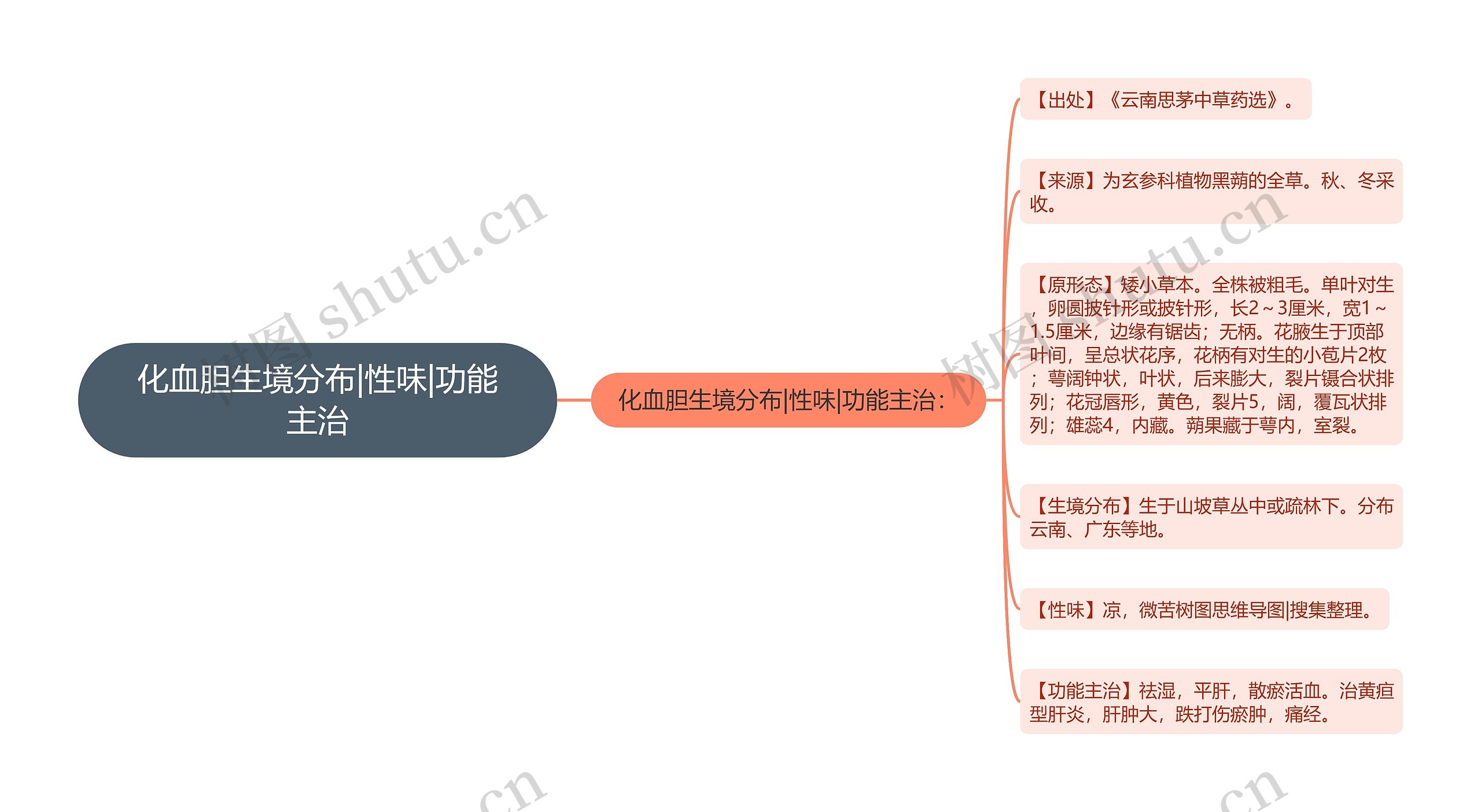 化血胆生境分布|性味|功能主治