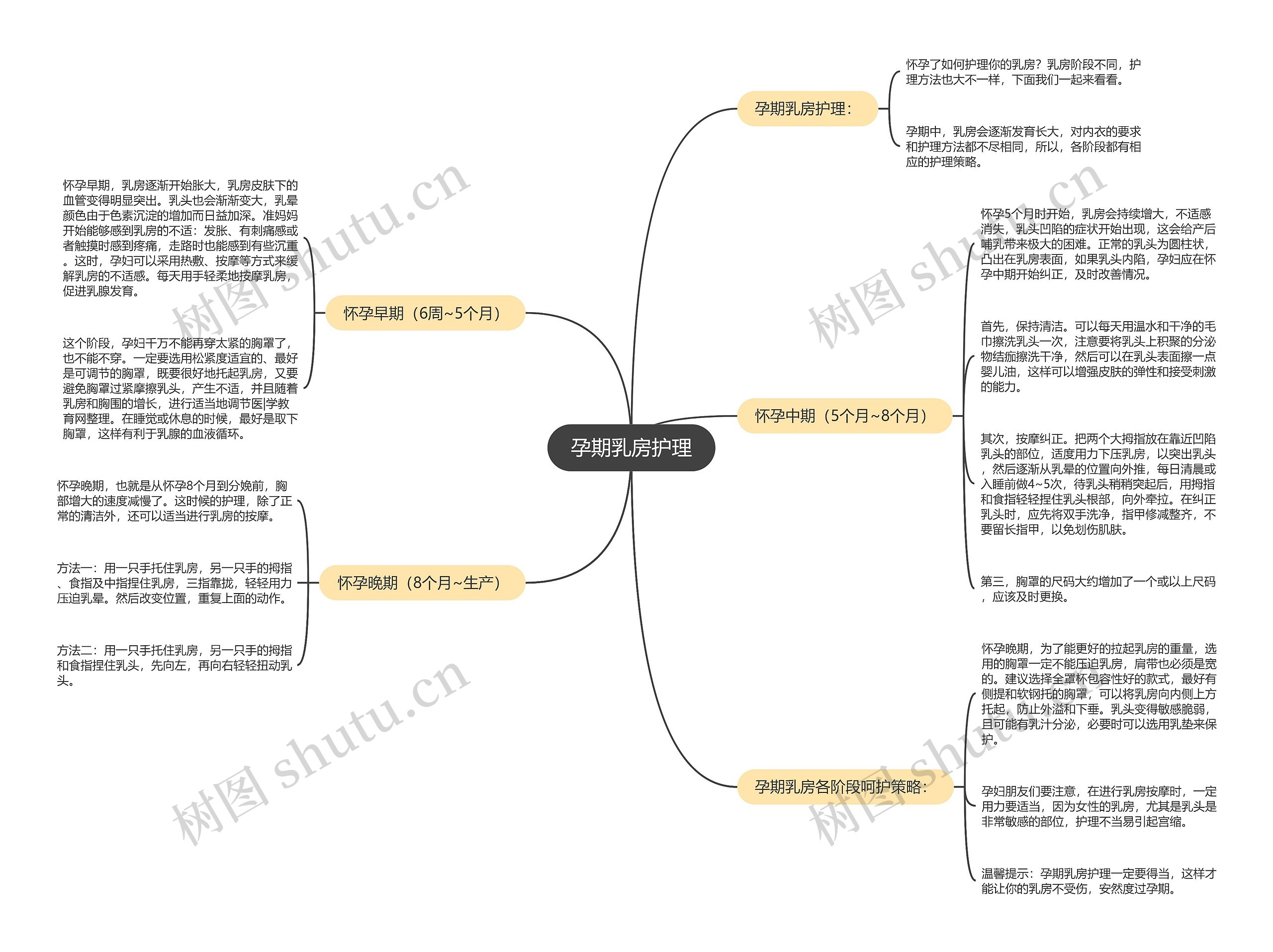 孕期乳房护理思维导图