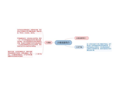 大唾液腺简介