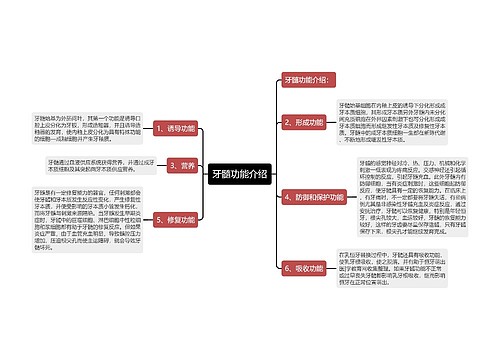 牙髓功能介绍