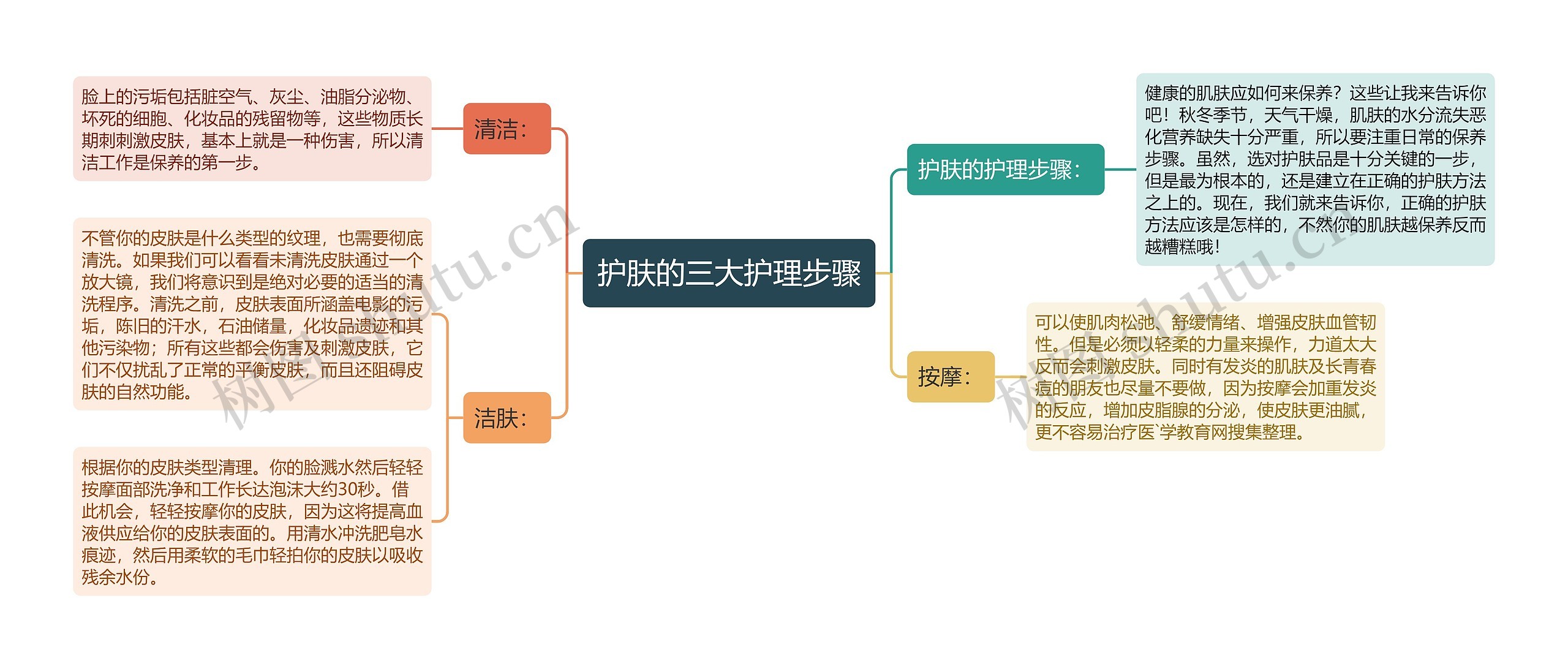 护肤的三大护理步骤思维导图