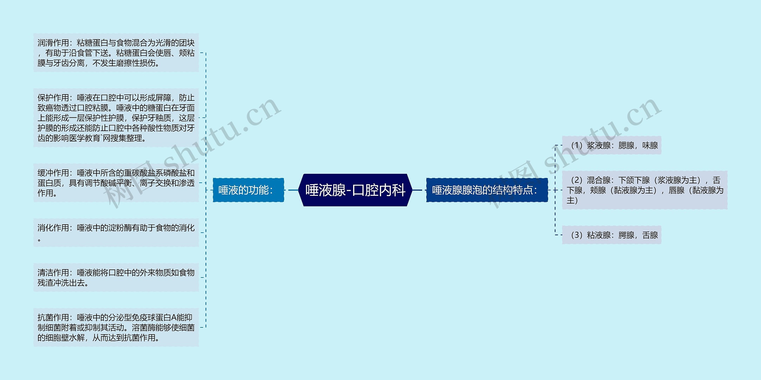 唾液腺-口腔内科 唾液腺-口腔内科