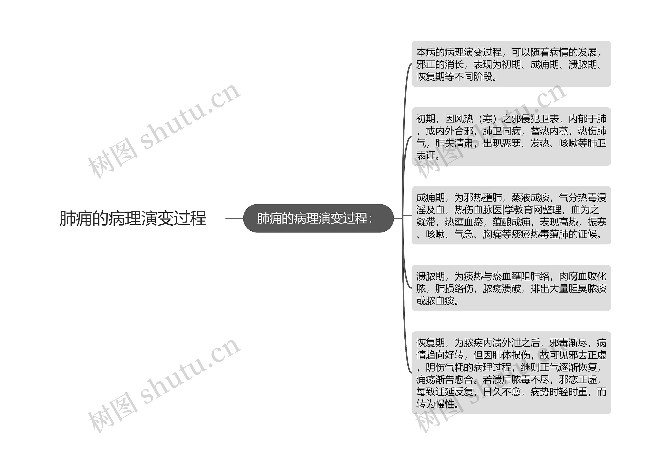 肺痈的病理演变过程思维导图