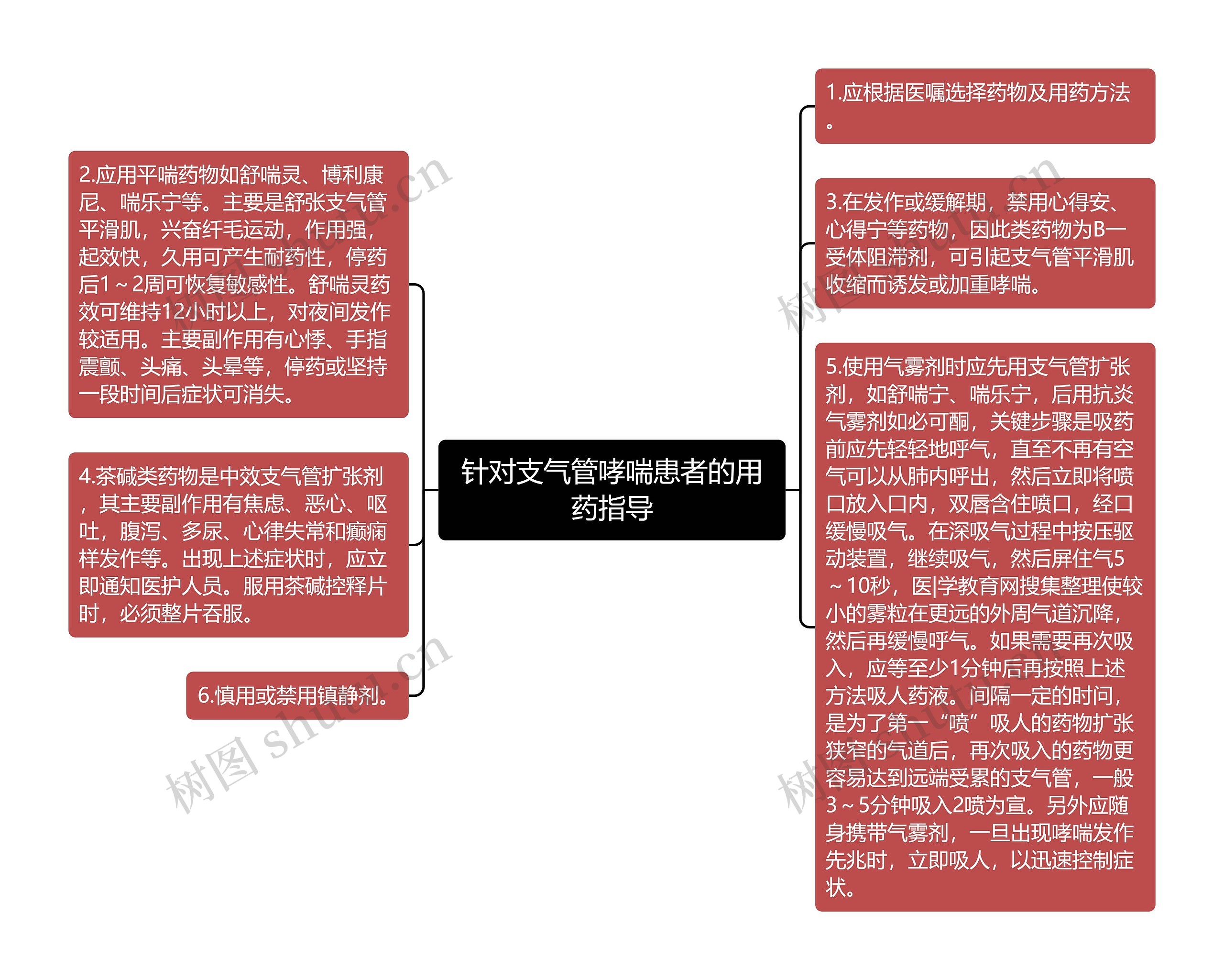 针对支气管哮喘患者的用药指导 针对支气管哮喘患者的用药指导