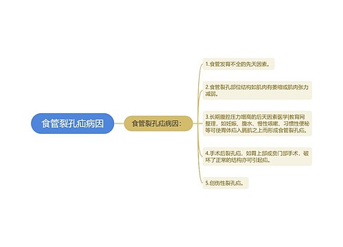 食管裂孔疝病因