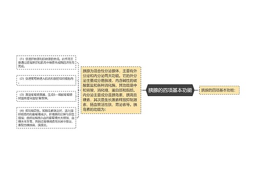 胰腺的四项基本功能