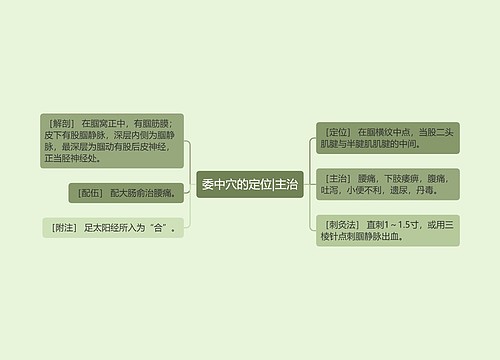 委中穴的定位|主治
