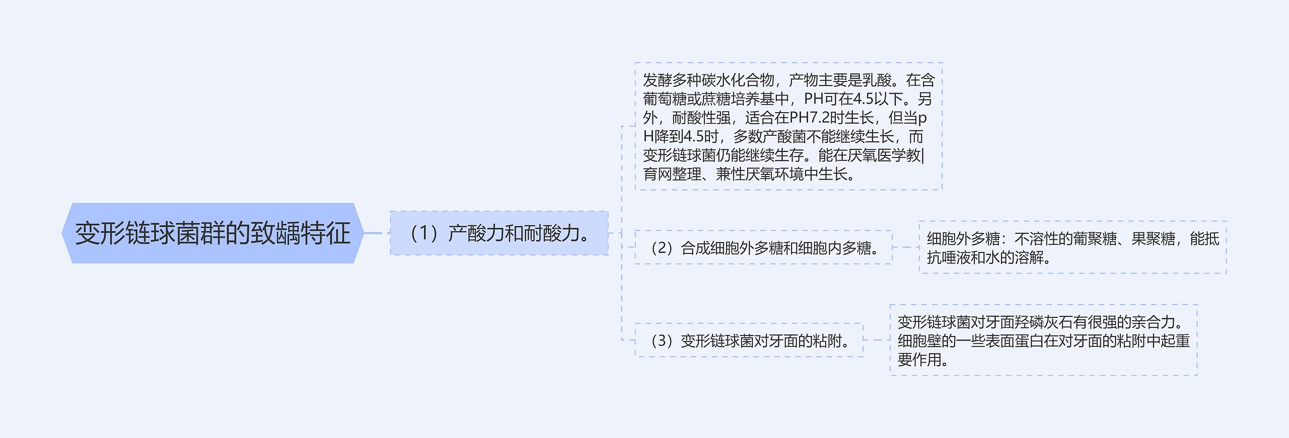 变形链球菌群的致龋特征 变形链球菌群的致龋特征