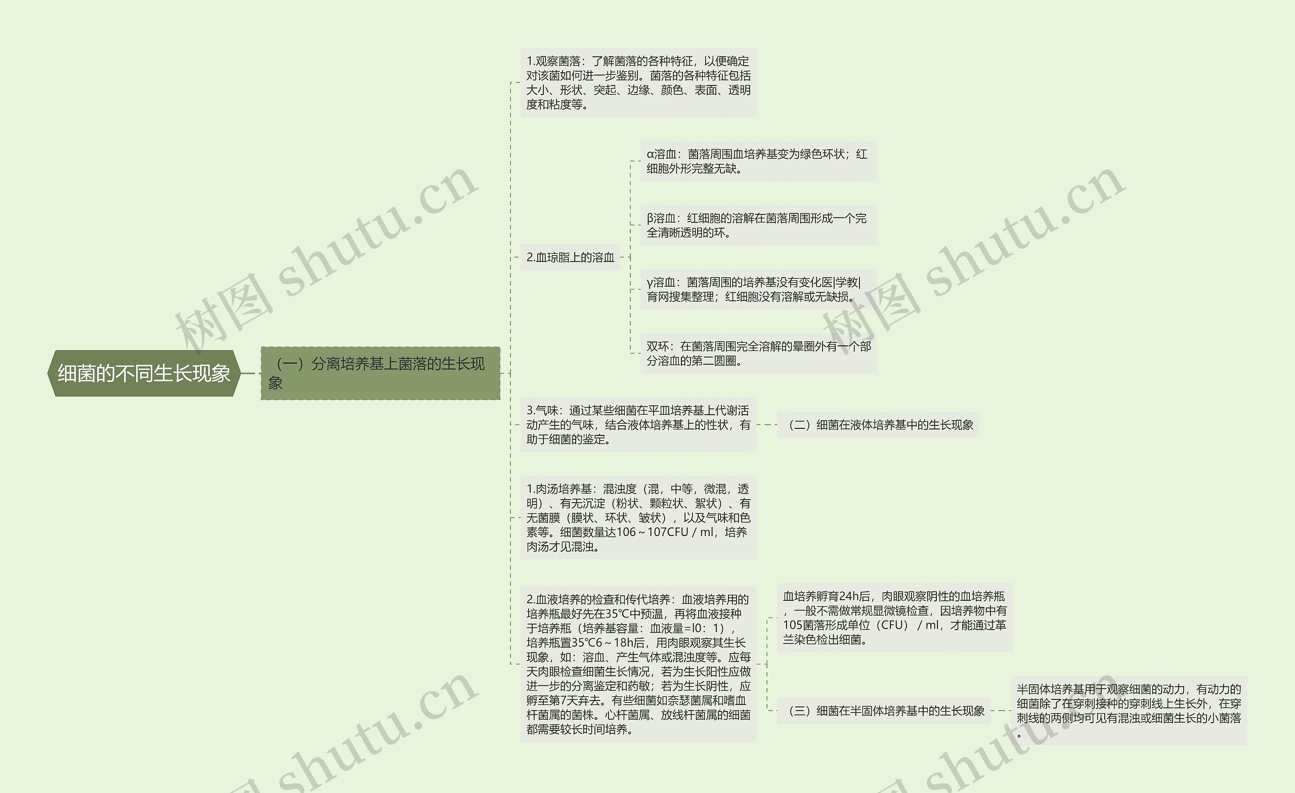 细菌的不同生长现象思维导图