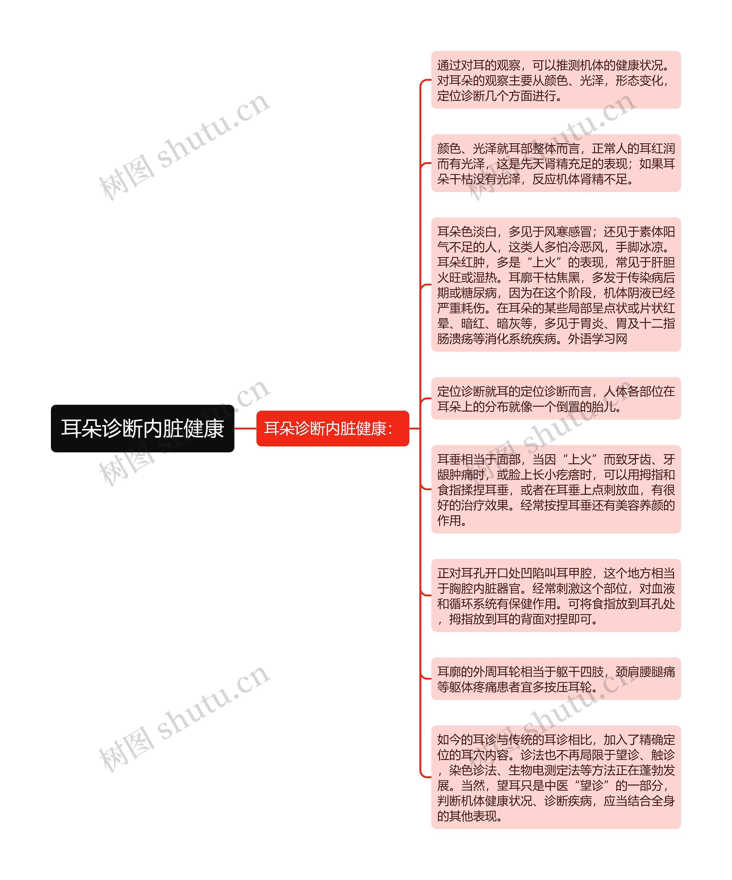 耳朵诊断内脏健康思维导图