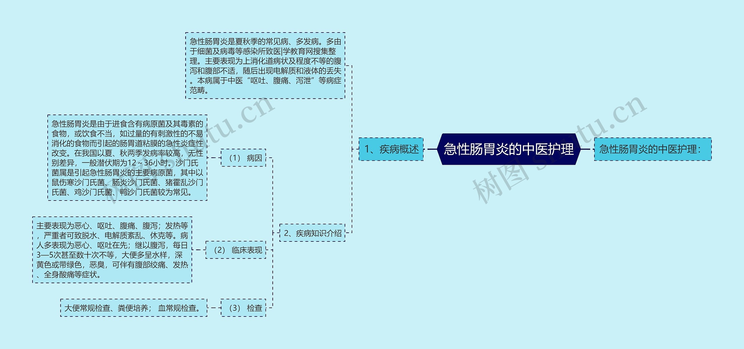 急性肠胃炎的中医护理思维导图