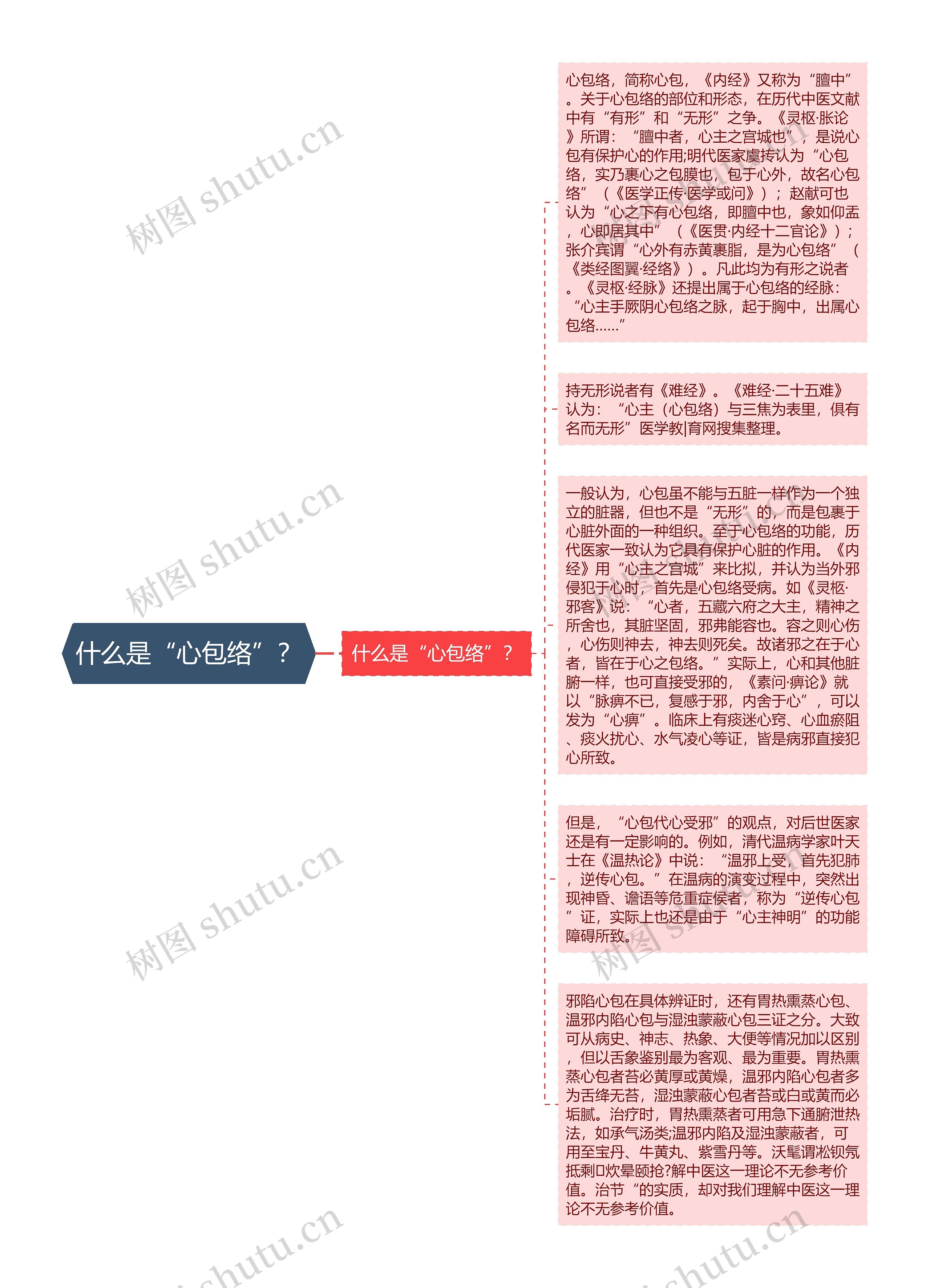 什么是“心包络”？思维导图