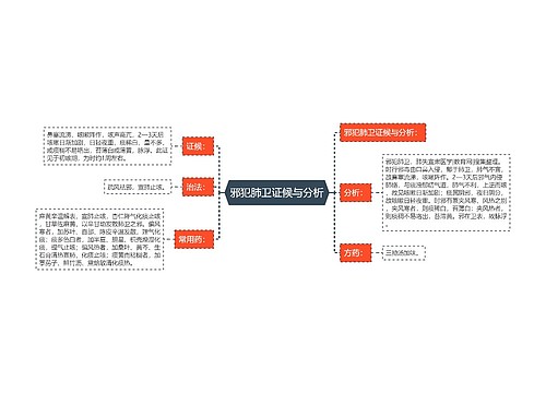 邪犯肺卫证候与分析