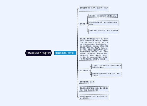 矮脚南|来源|分布|主治