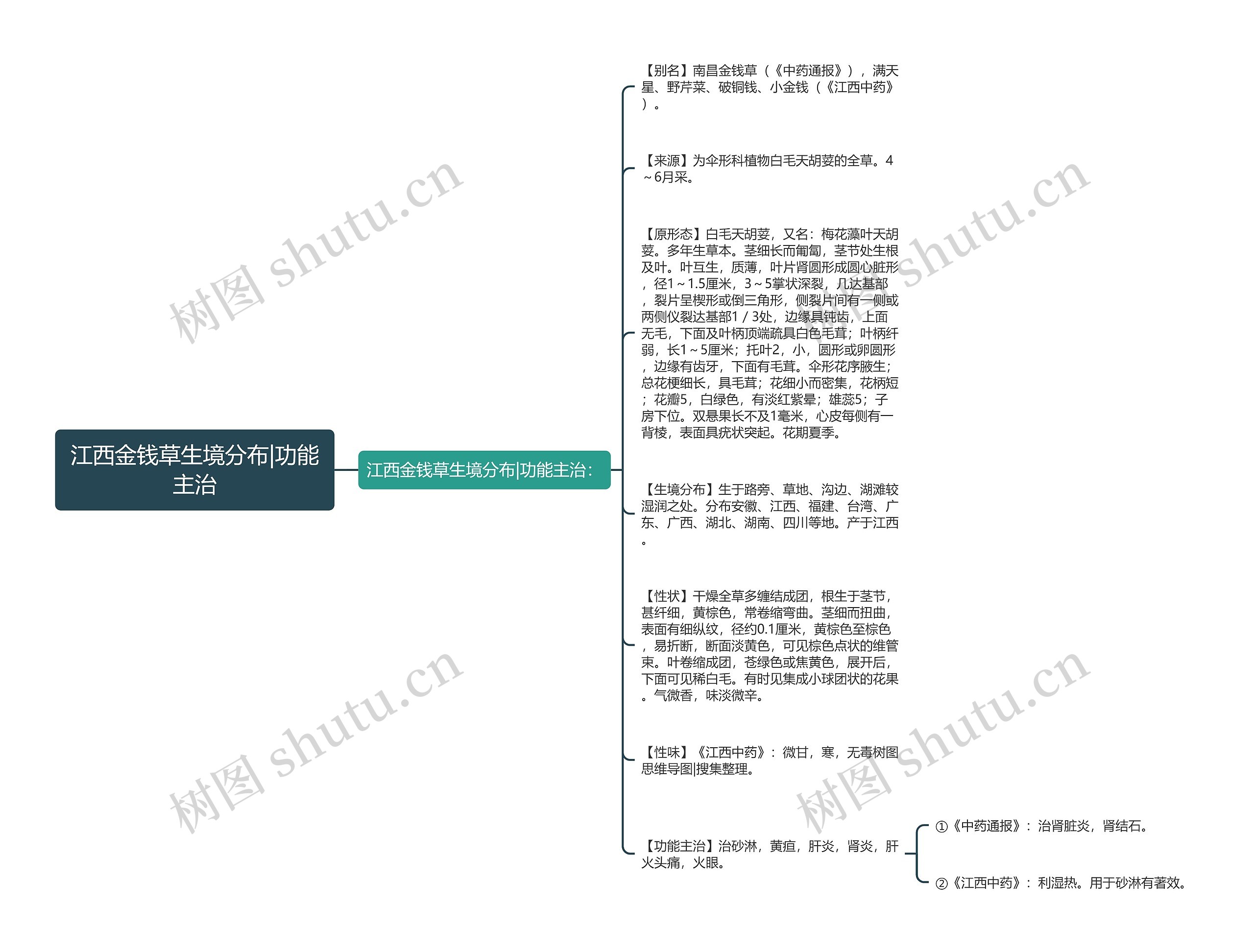 江西金钱草生境分布|功能主治思维导图